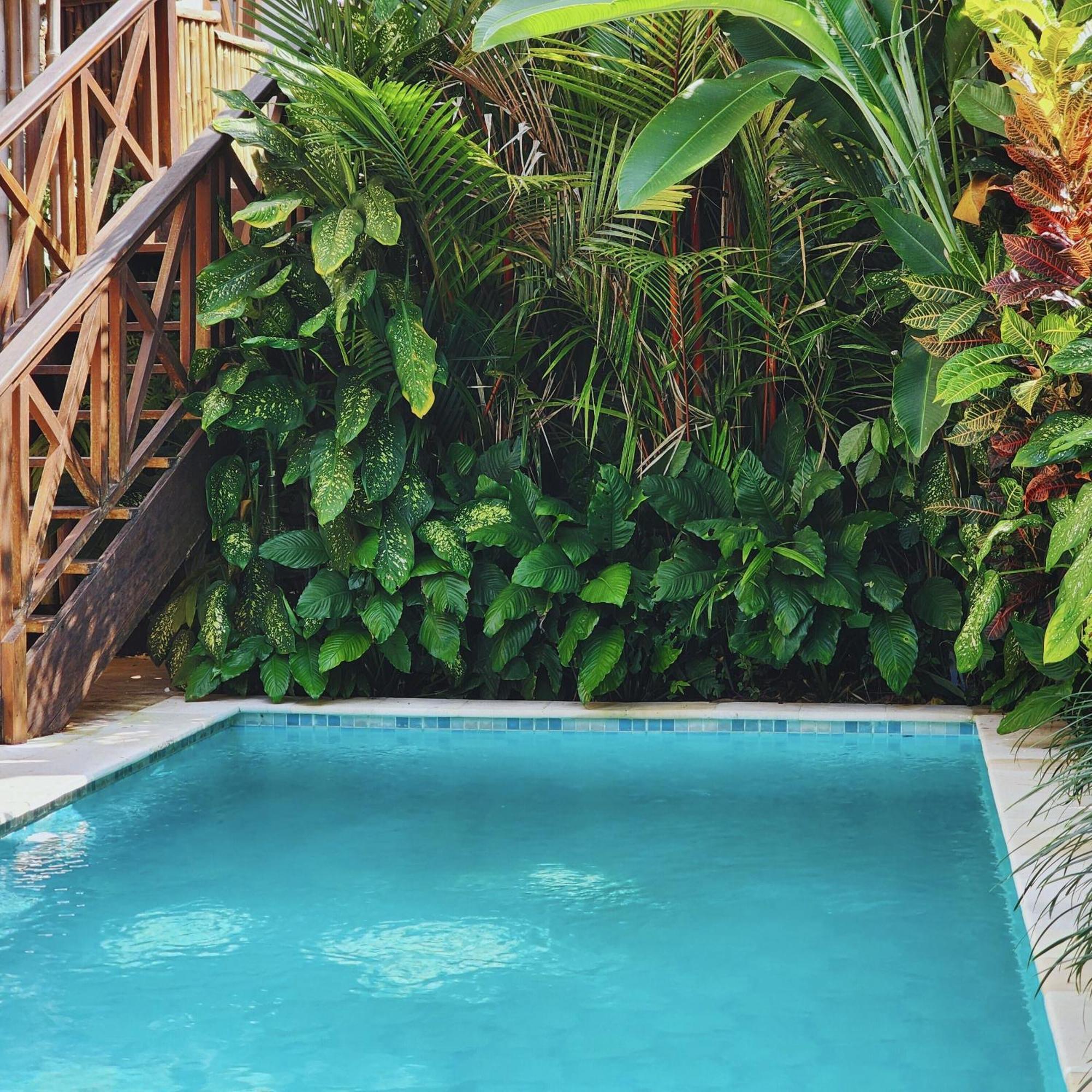Danaya's villa Ubud Dış mekan fotoğraf